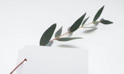 Featured image of post 中文测试